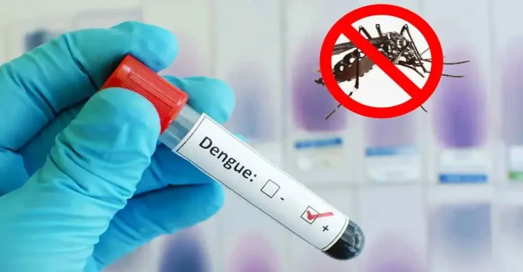 Dengue Surge Claims Seven More Lives in 24 Hours as Total Deaths Reach 171