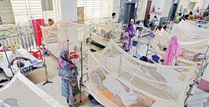 Six More Deaths from Dengue, 1,593 Hospitalized Across Country