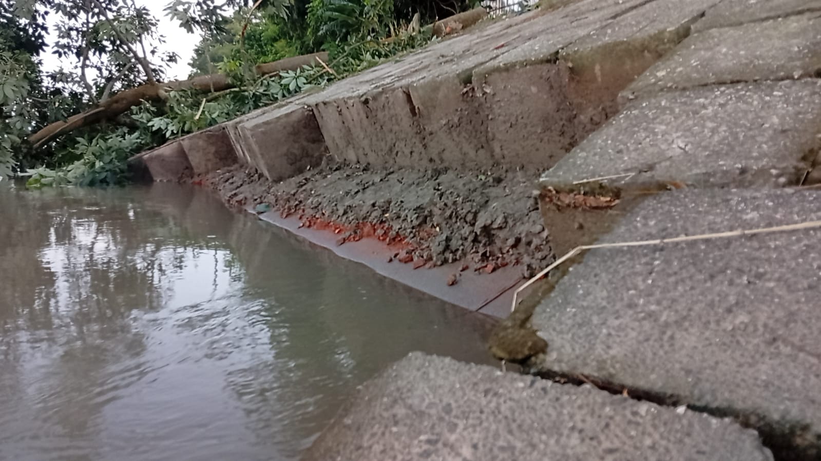 Erosion in Brahmaputra Right Bank Protection Project Alarms Chilmari Locals