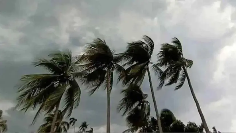 BMSD Issues Warning: Squalls and Thunderstorms Forecast Across 12 Regions Including Dhaka and Chattogram