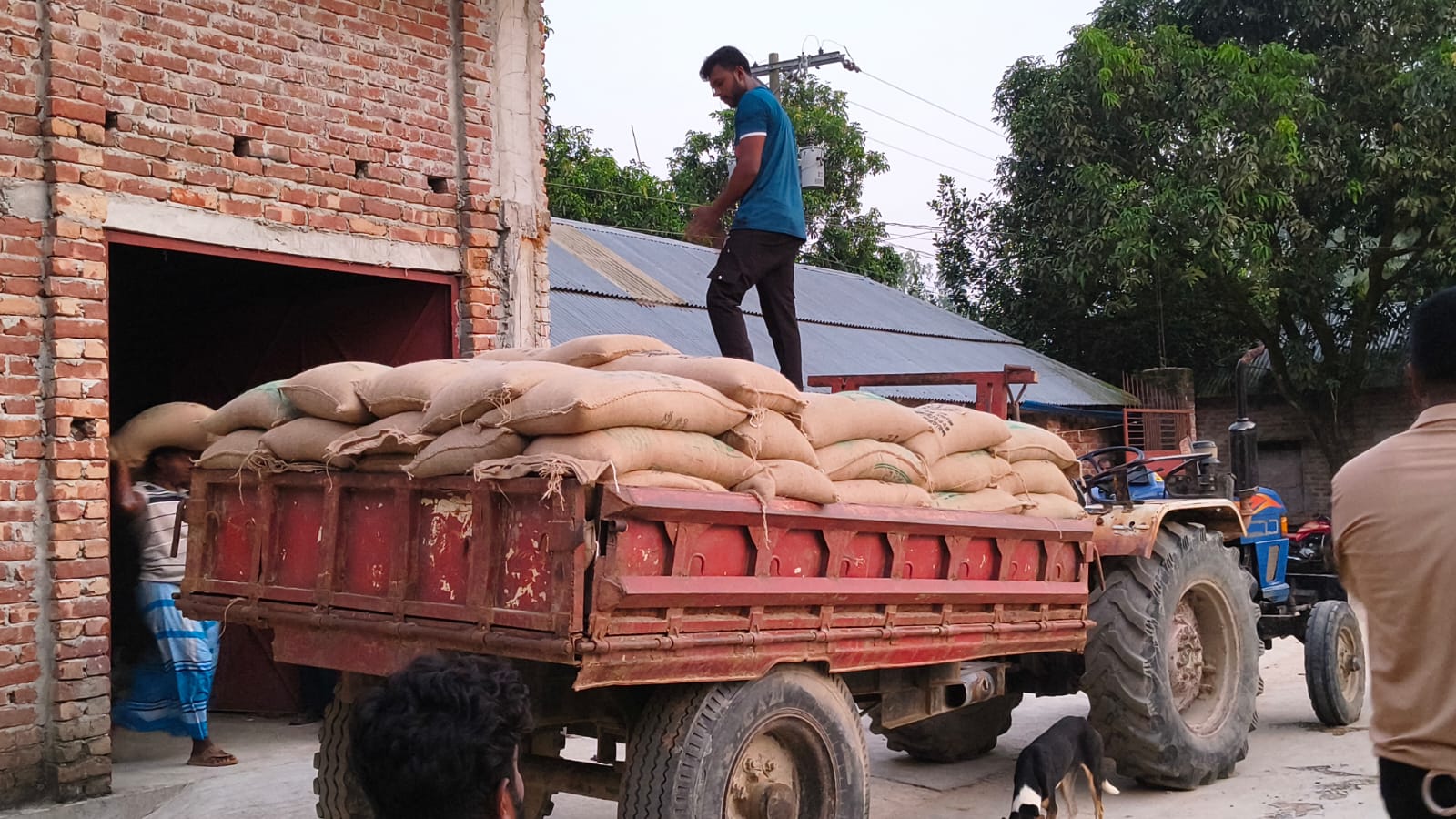 120 Sacks of Food-Friendly Program Rice Seized in Ghoraghat; One Arrested