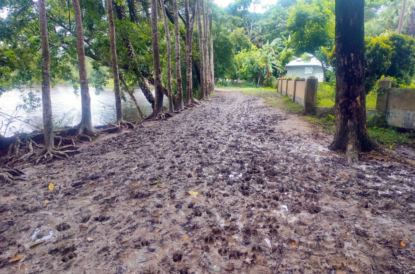 Galachipa 4-km Road Dilapidated, Thousands Suffer Year-Round