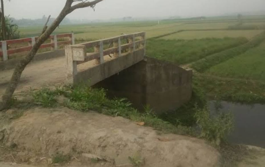 Osmaninagar: Boro cultivation disrupted due to river encroachment and waterlogging