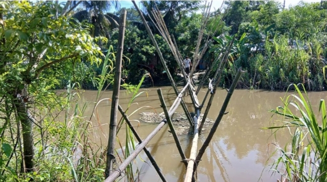 Daily struggle with life-threatening risks on a dilapidated bamboo bridge in Daganbhuiyan, Feni