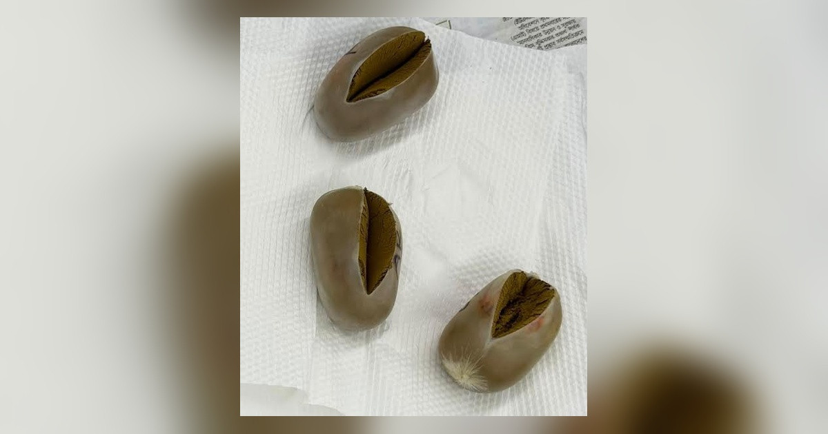 1.29 kg of Gold Pastes Seized from Passenger at Hazrat Shahjalal International Airport