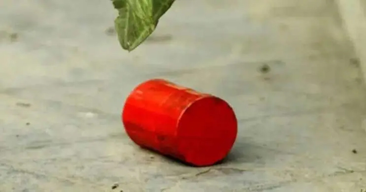 SRB Bomb Disposal Team Dispatched to Mohammadpur Following Discovery of Cocktail-Like Objects