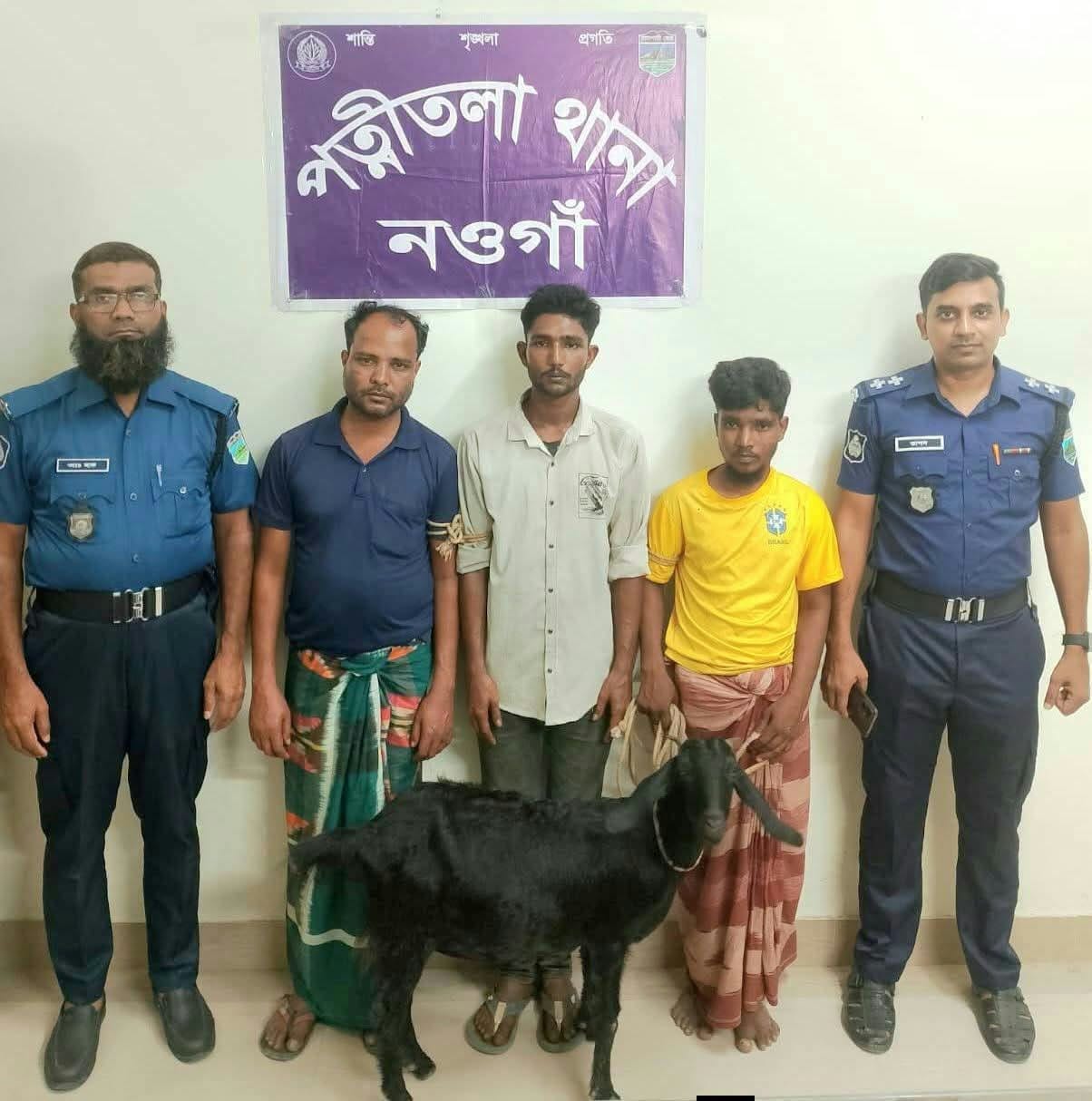 Three arrested and stolen goat recovered in police operation in Patnitala, Naogaon