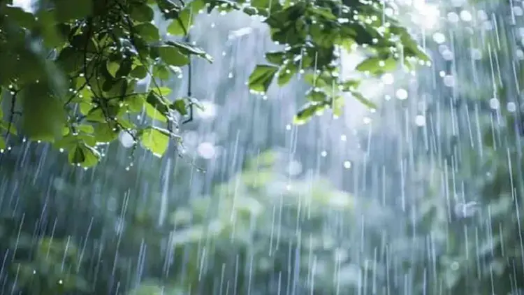 BMD Forecasts Light to Moderate Rain in Coastal Divisions with Slight Temperature Drop Nationwide