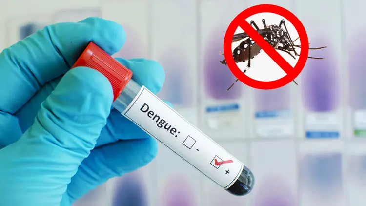 6 More Dengue Deaths Reported in 24 Hours Across Bangladesh as Annual Death Toll Rises to 348