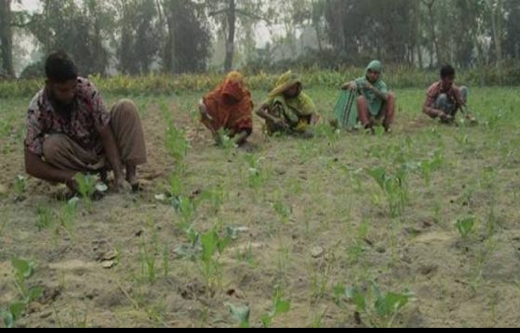 Rural People Still Enjoy the Taste of Fresh and Natural Food