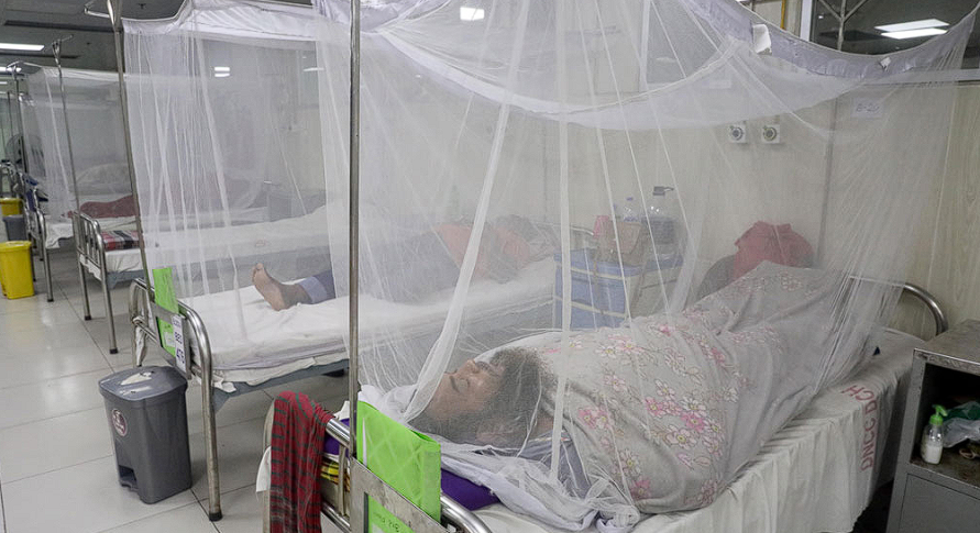 6 More Die of Dengue in 24 Hours, 1,898 Hospitalized