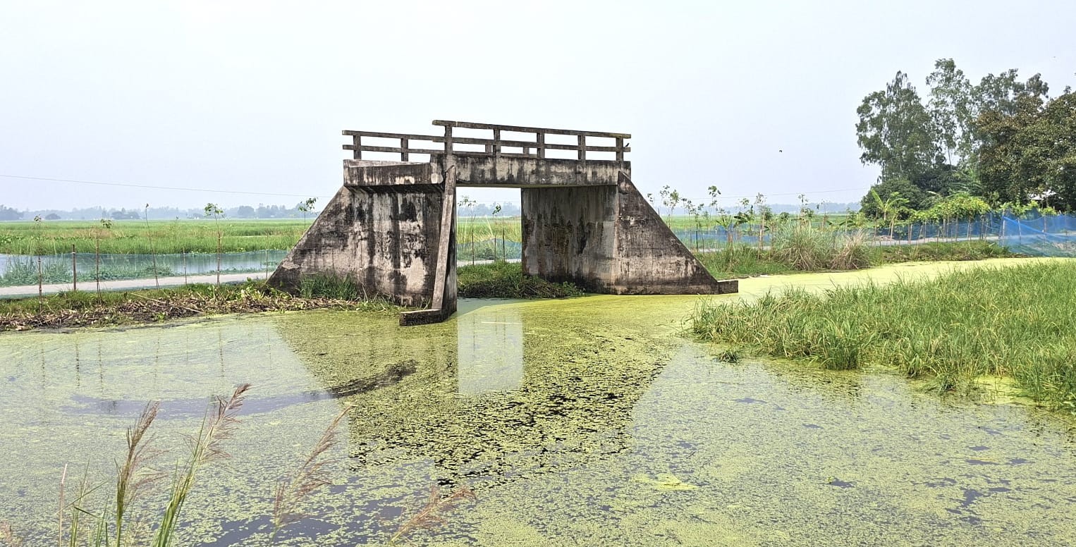 Bridge Stands Without Approach Road in Sujanagar for 25 Years