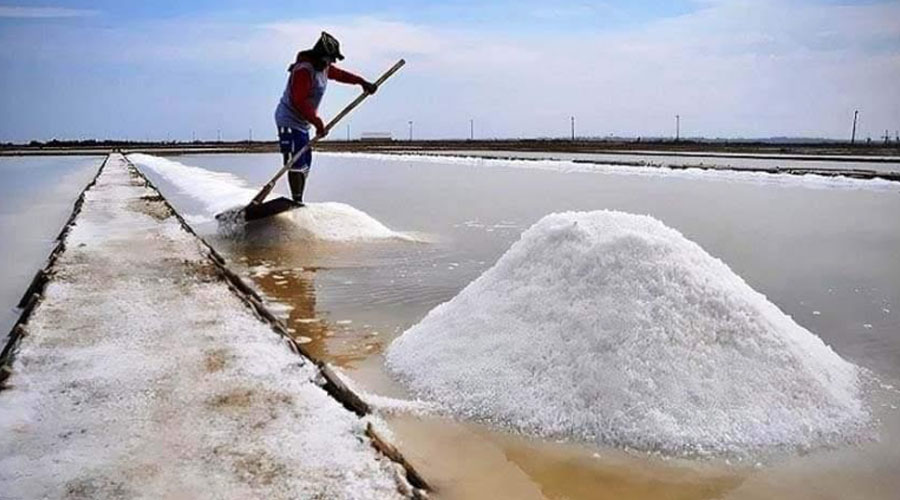 7-Day Ultimatum to Cancel Crude Salt Import; Farmers Warn of Mass Movement